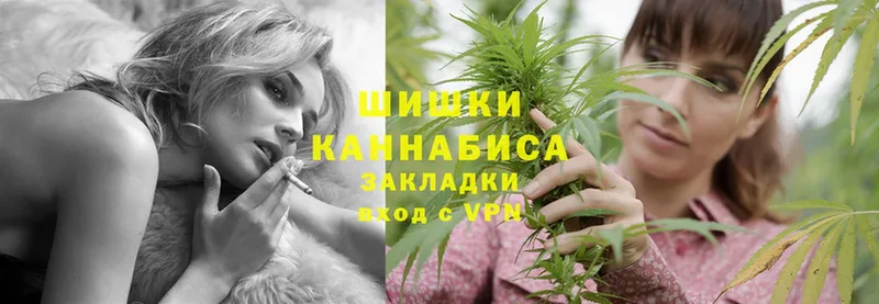 Конопля OG Kush  Хотьково 